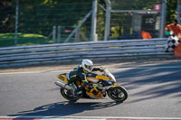 brands-hatch-photographs;brands-no-limits-trackday;cadwell-trackday-photographs;enduro-digital-images;event-digital-images;eventdigitalimages;no-limits-trackdays;peter-wileman-photography;racing-digital-images;trackday-digital-images;trackday-photos